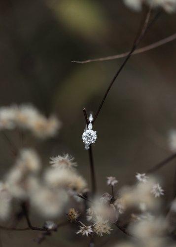 mobile - carousel-hero-element image-15